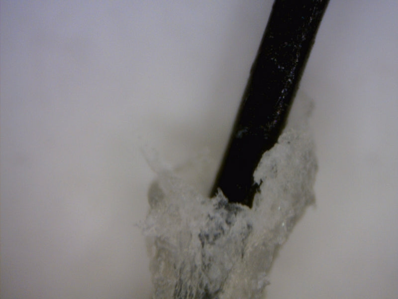 TricshoScope HR Polarizer Dino Lite MEDL7HM (TRICOSCOPIO)